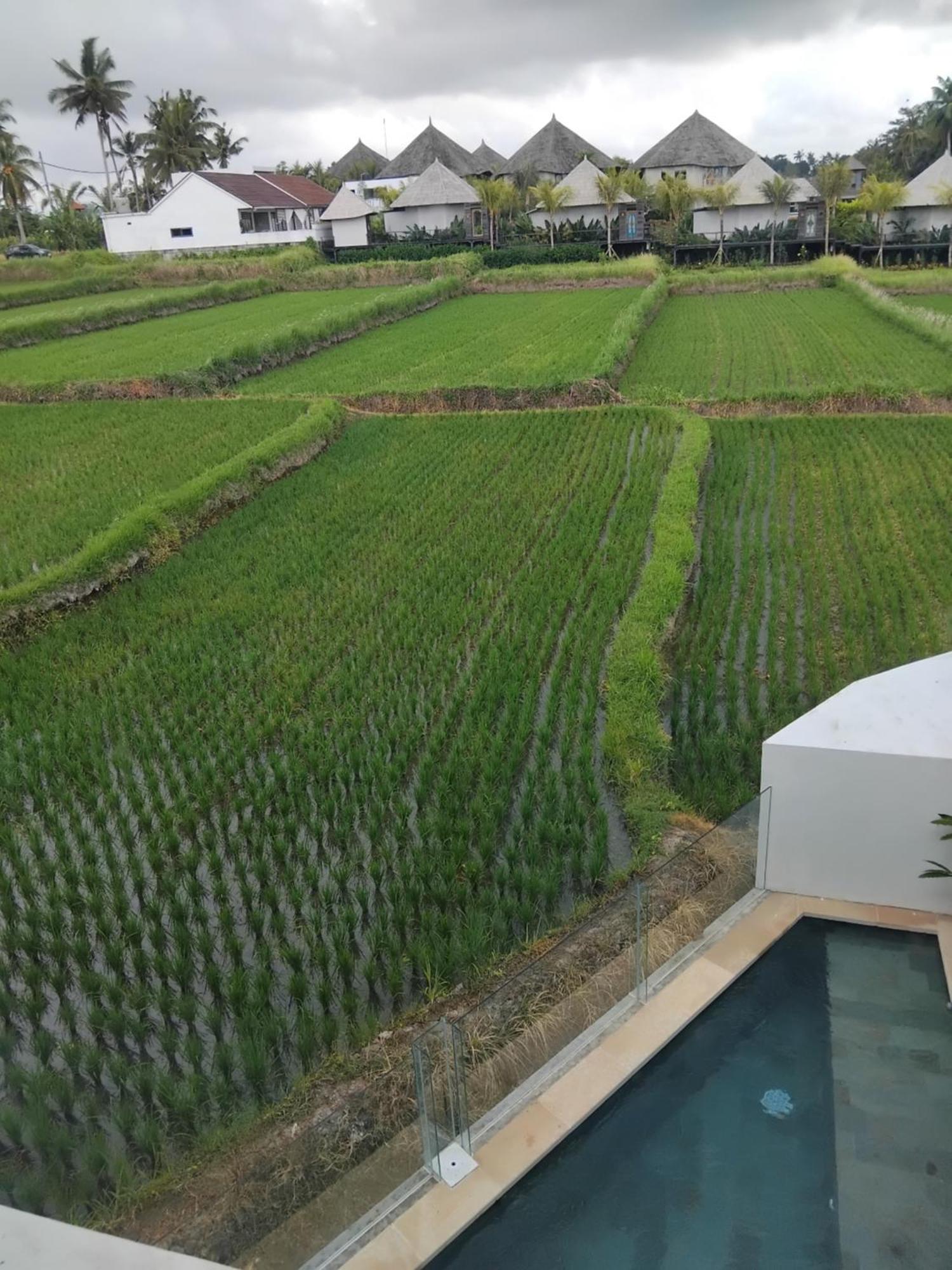 Sujiwa Ubud Hotel & Villa Εξωτερικό φωτογραφία