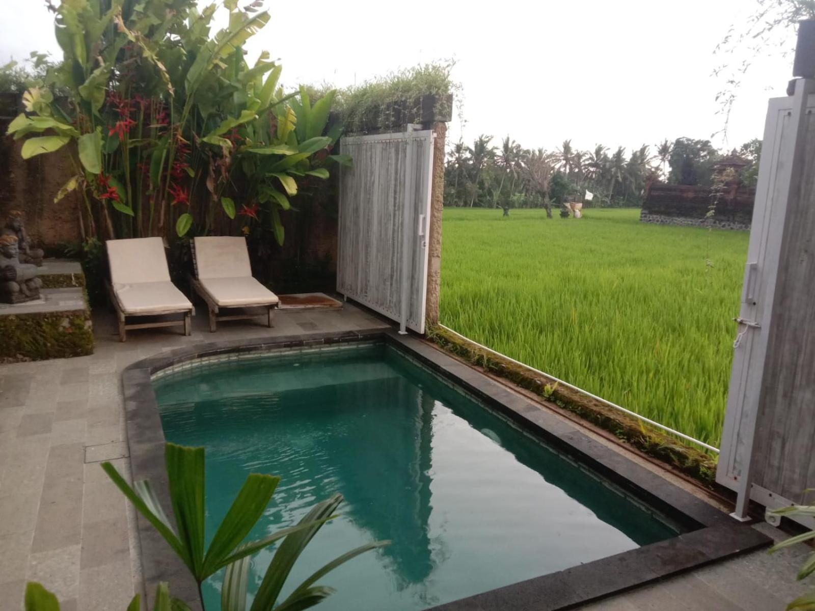 Sujiwa Ubud Hotel & Villa Εξωτερικό φωτογραφία